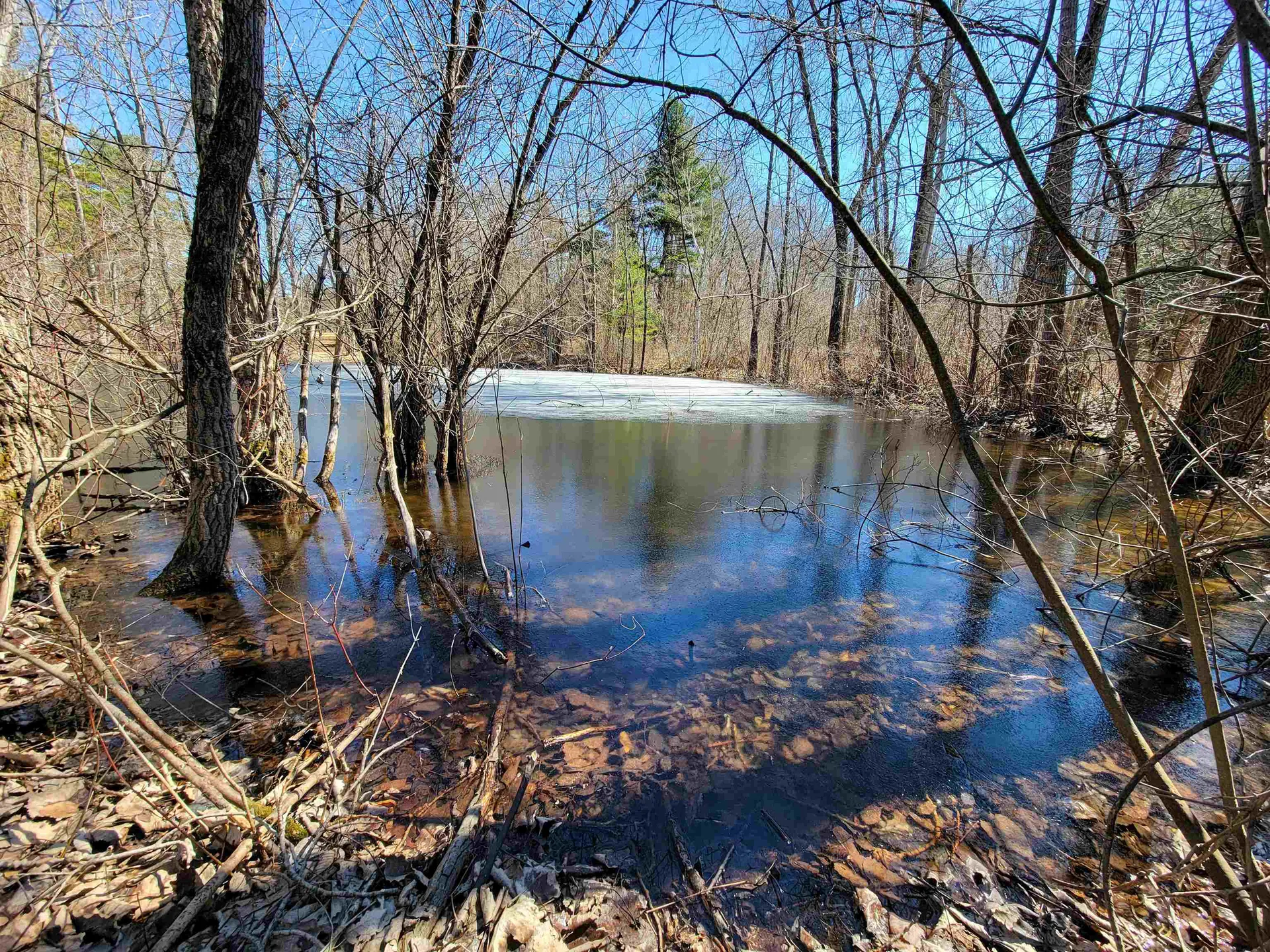 399 Bard Road Bennington VT 05201