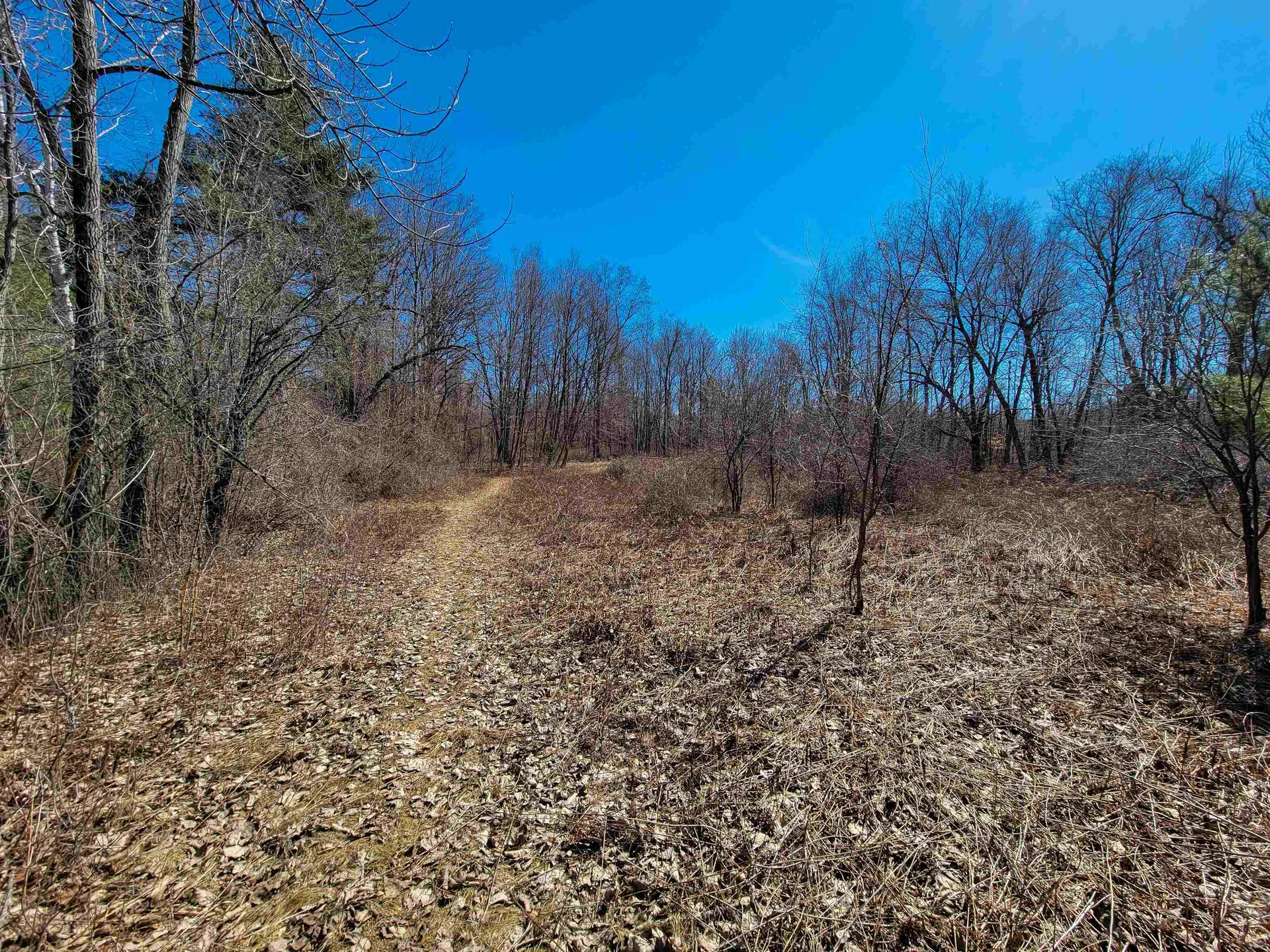 399 Bard Road Bennington VT 05201