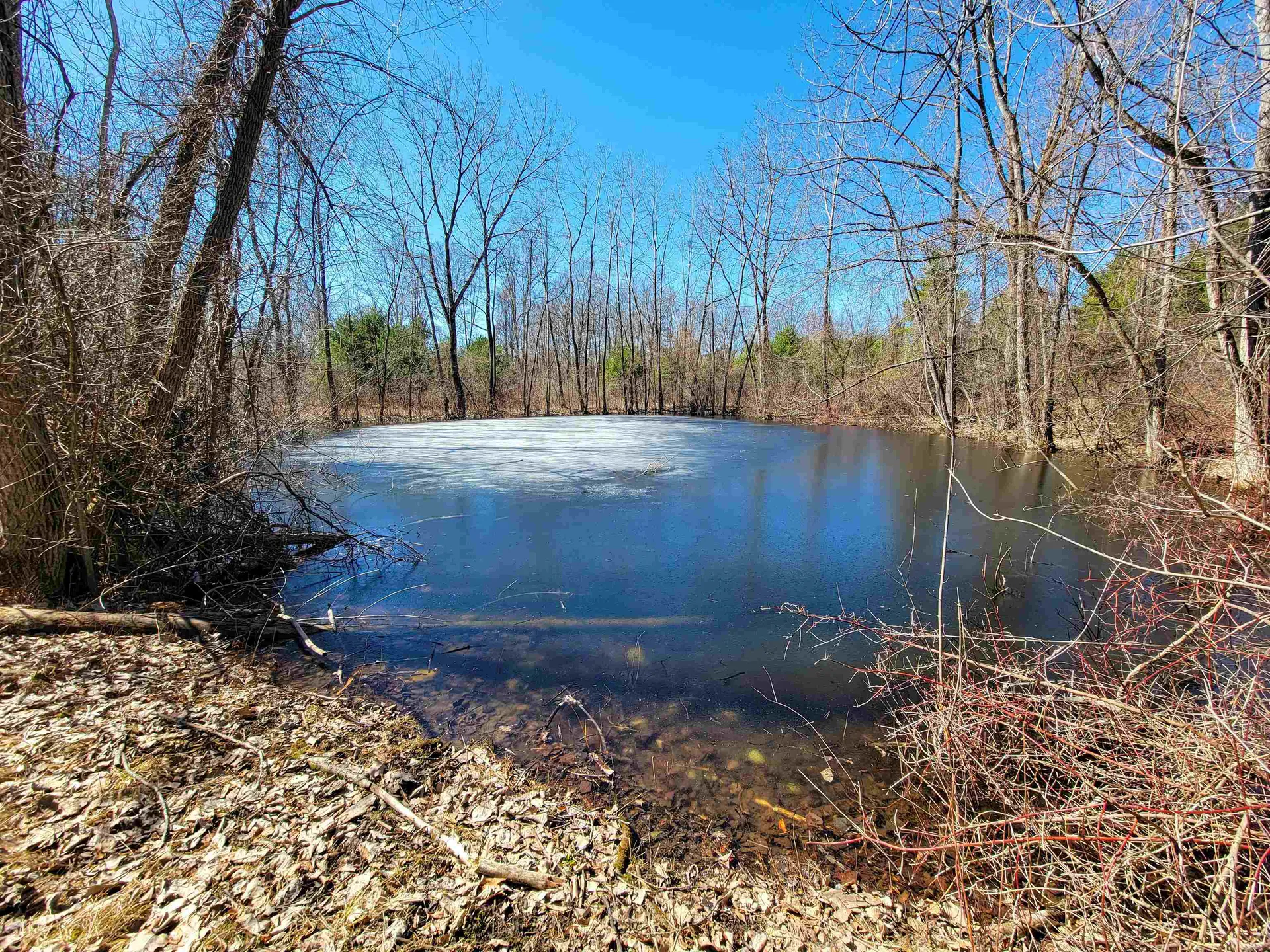 399 Bard Road Bennington VT 05201