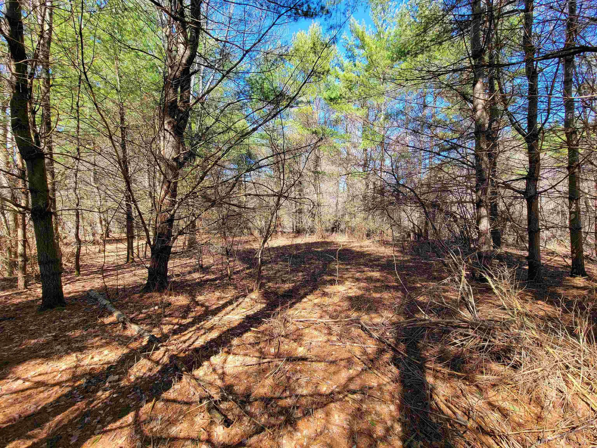 399 Bard Road Bennington VT 05201