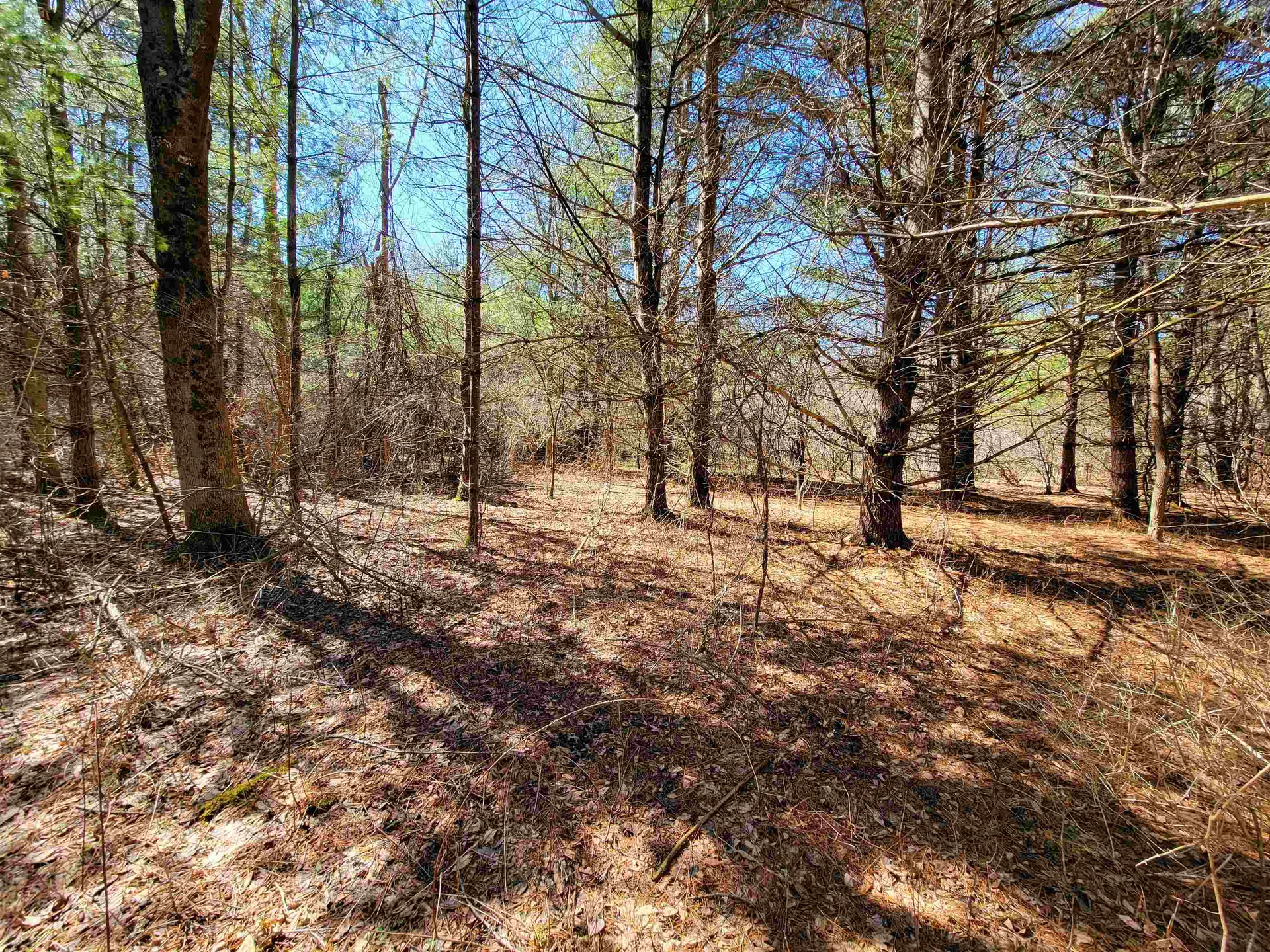 399 Bard Road Bennington VT 05201