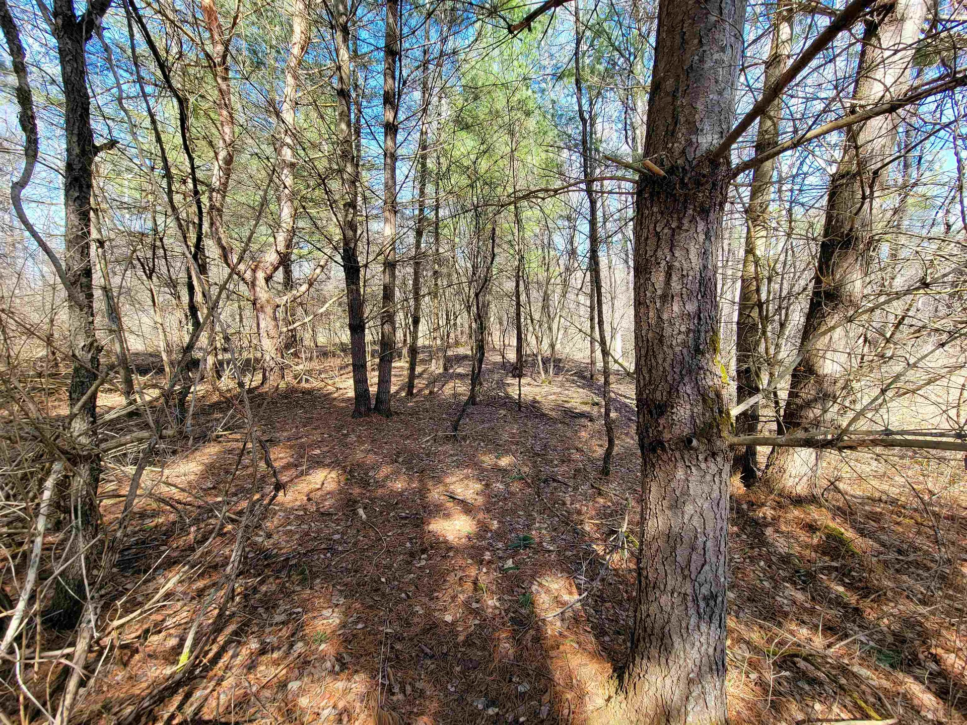 399 Bard Road Bennington VT 05201