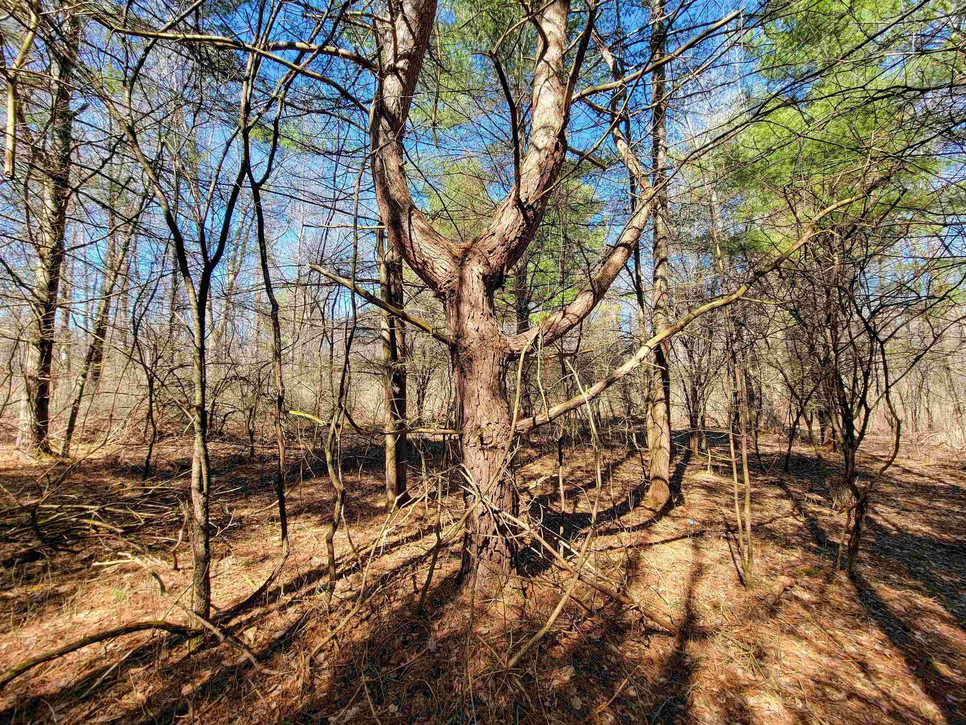 399 Bard Road Bennington VT 05201