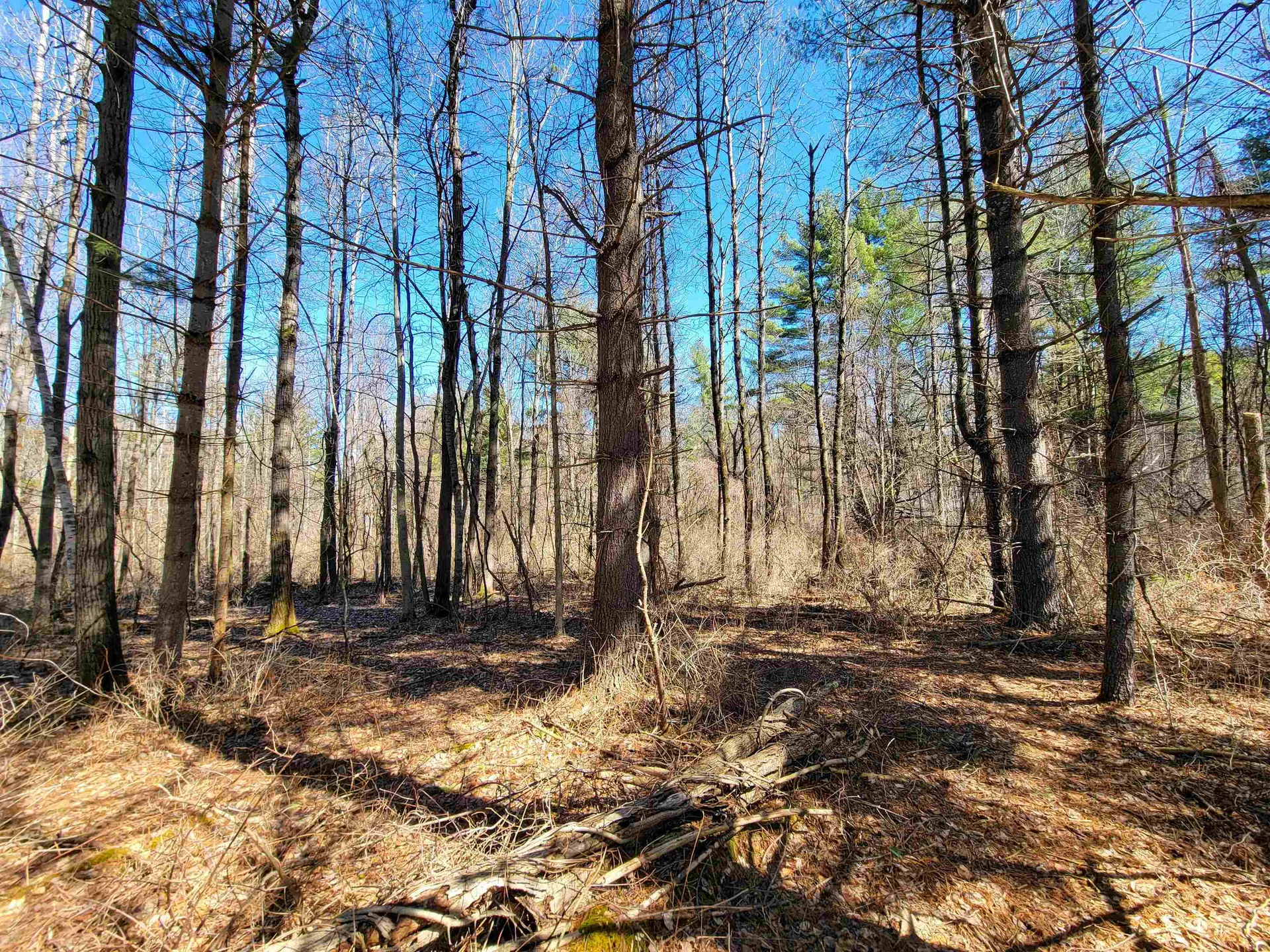 399 Bard Road Bennington VT 05201