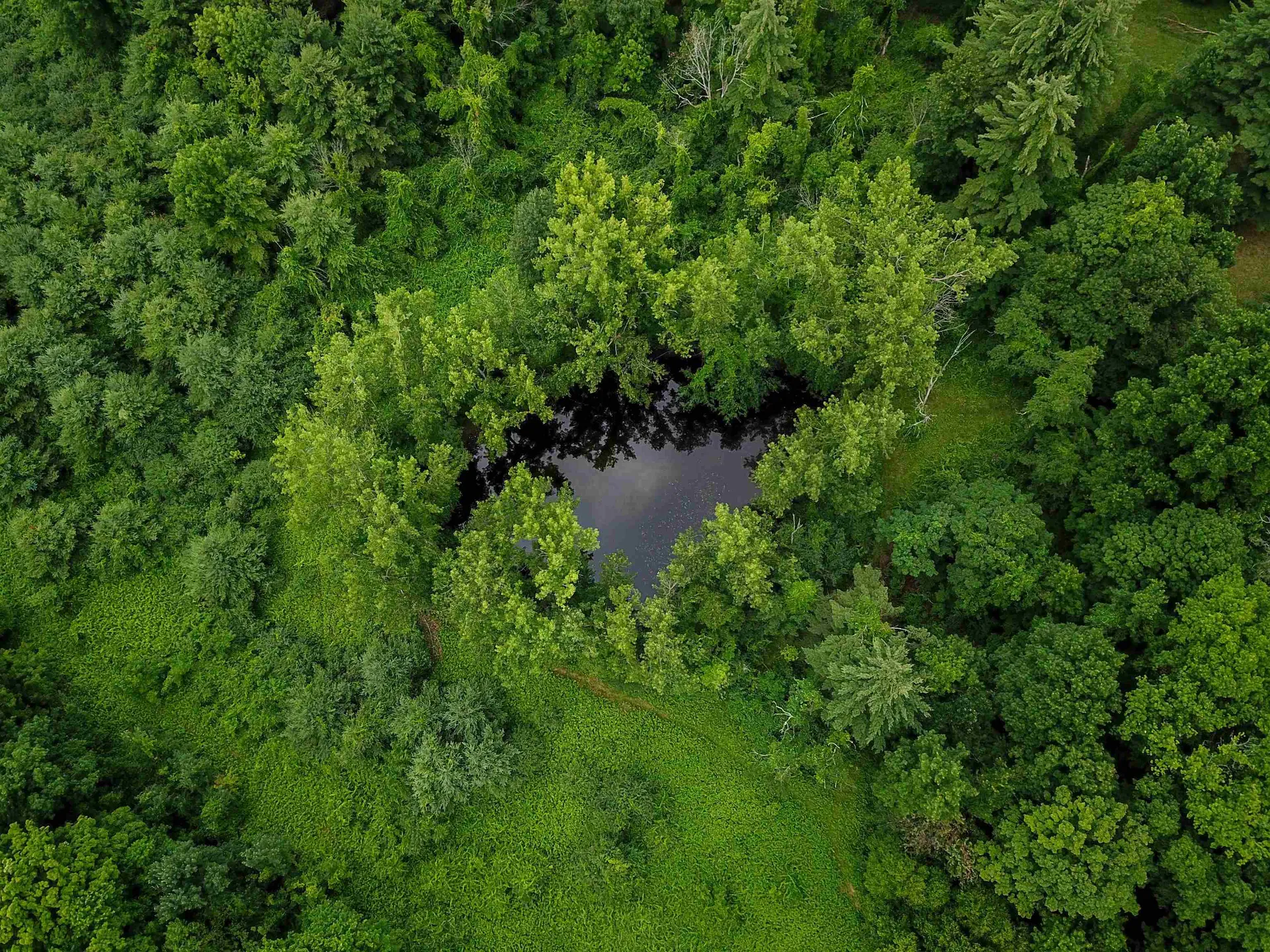 399 Bard Road Bennington VT 05201