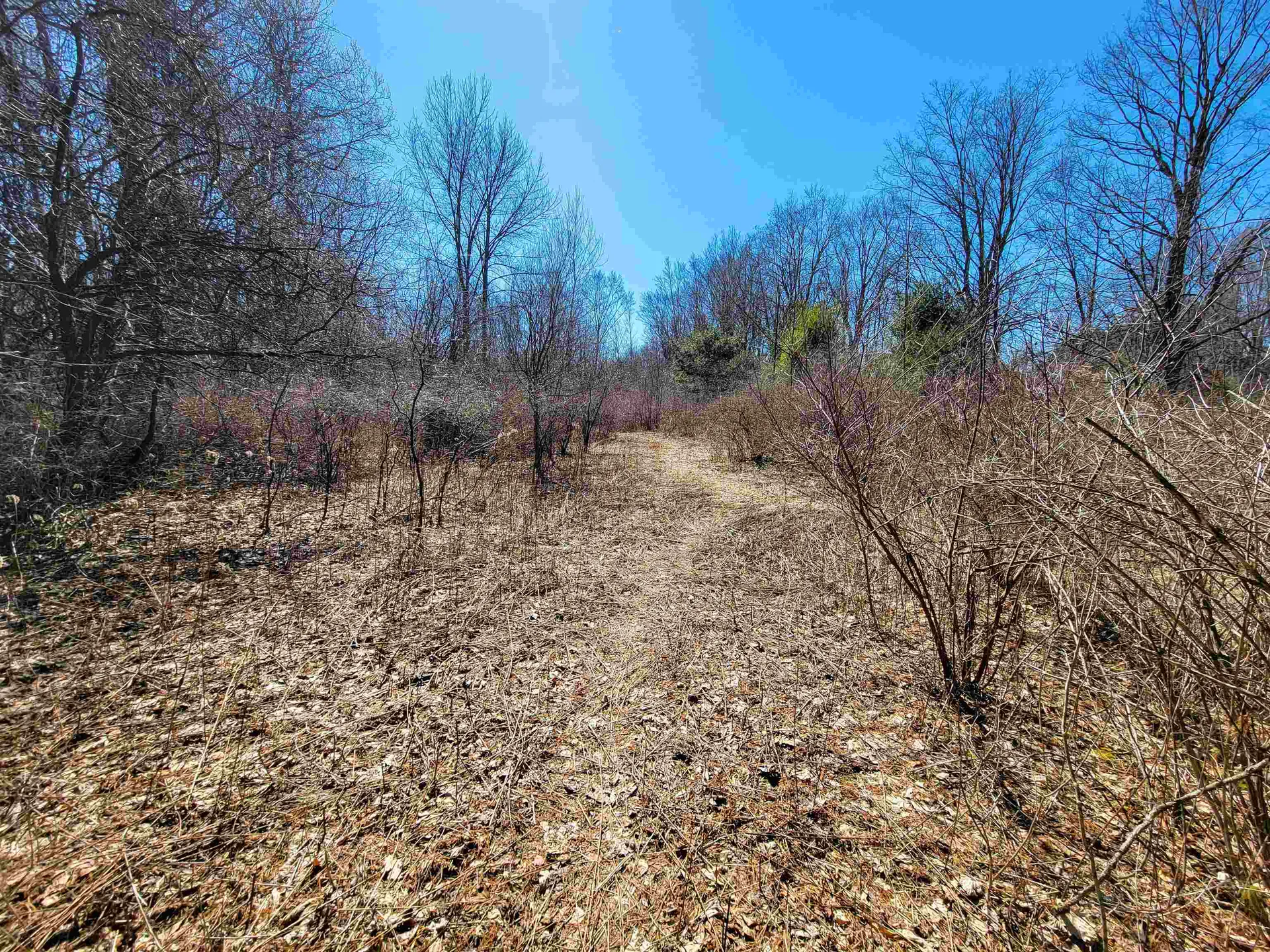 399 Bard Road Bennington VT 05201