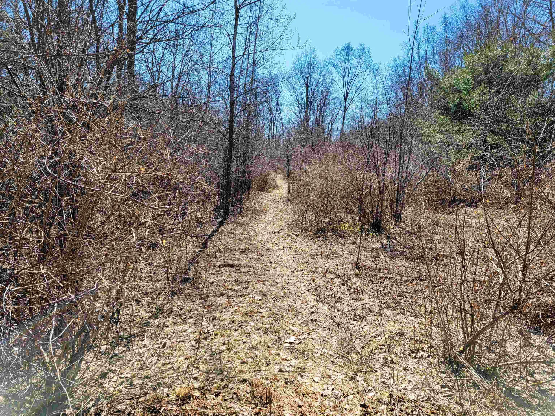 399 Bard Road Bennington VT 05201