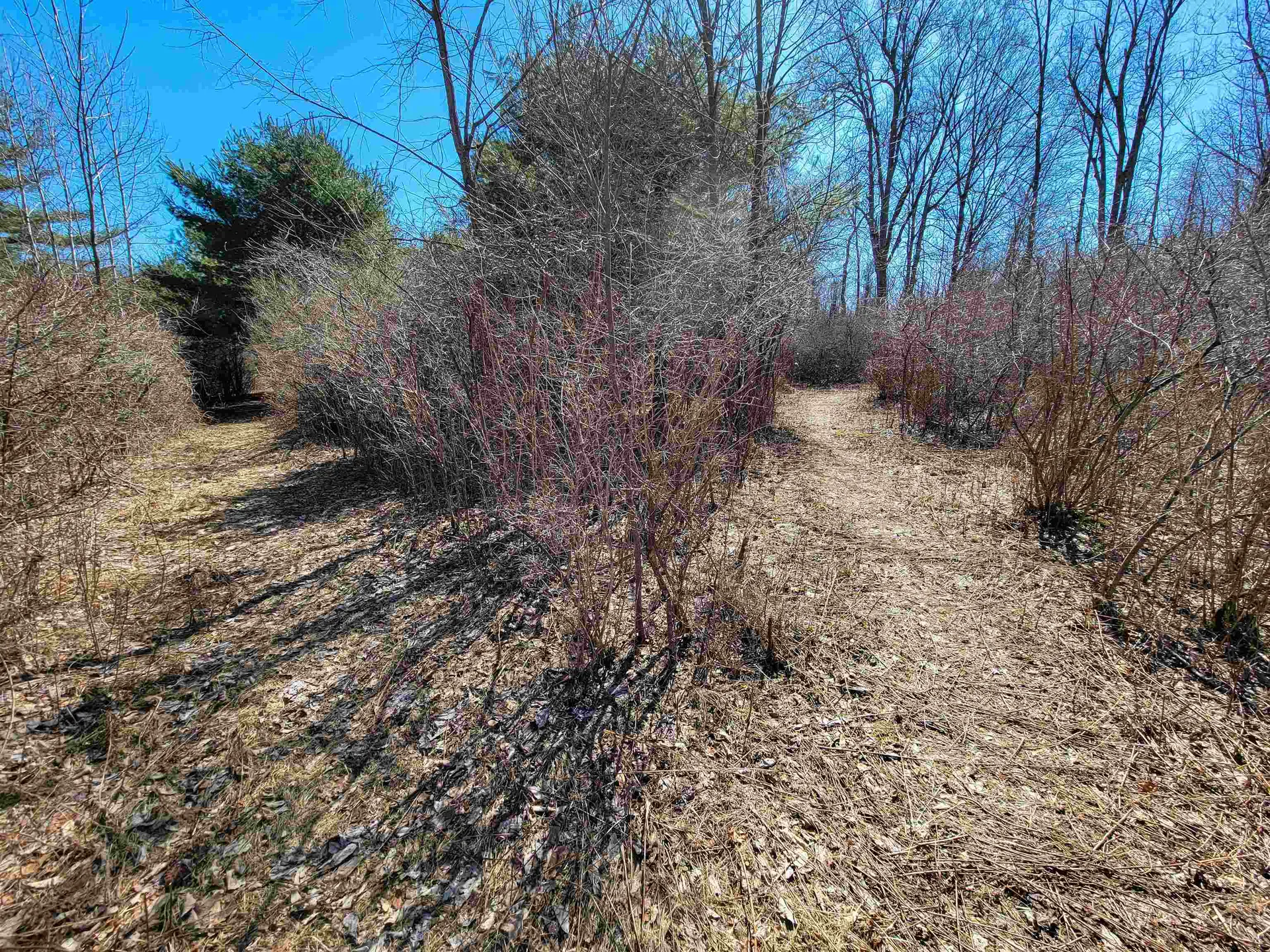 399 Bard Road Bennington VT 05201