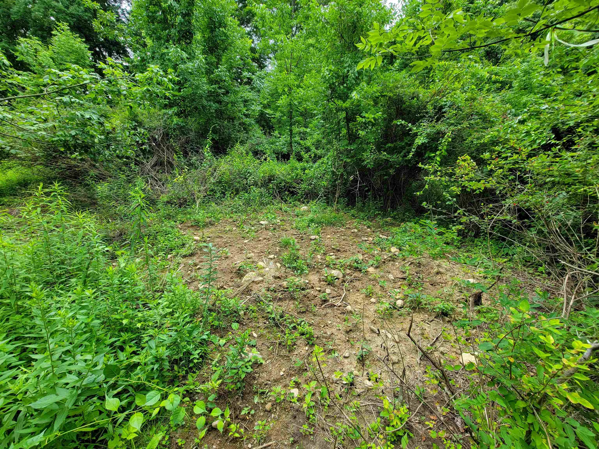 399 Bard Road Bennington VT 05201