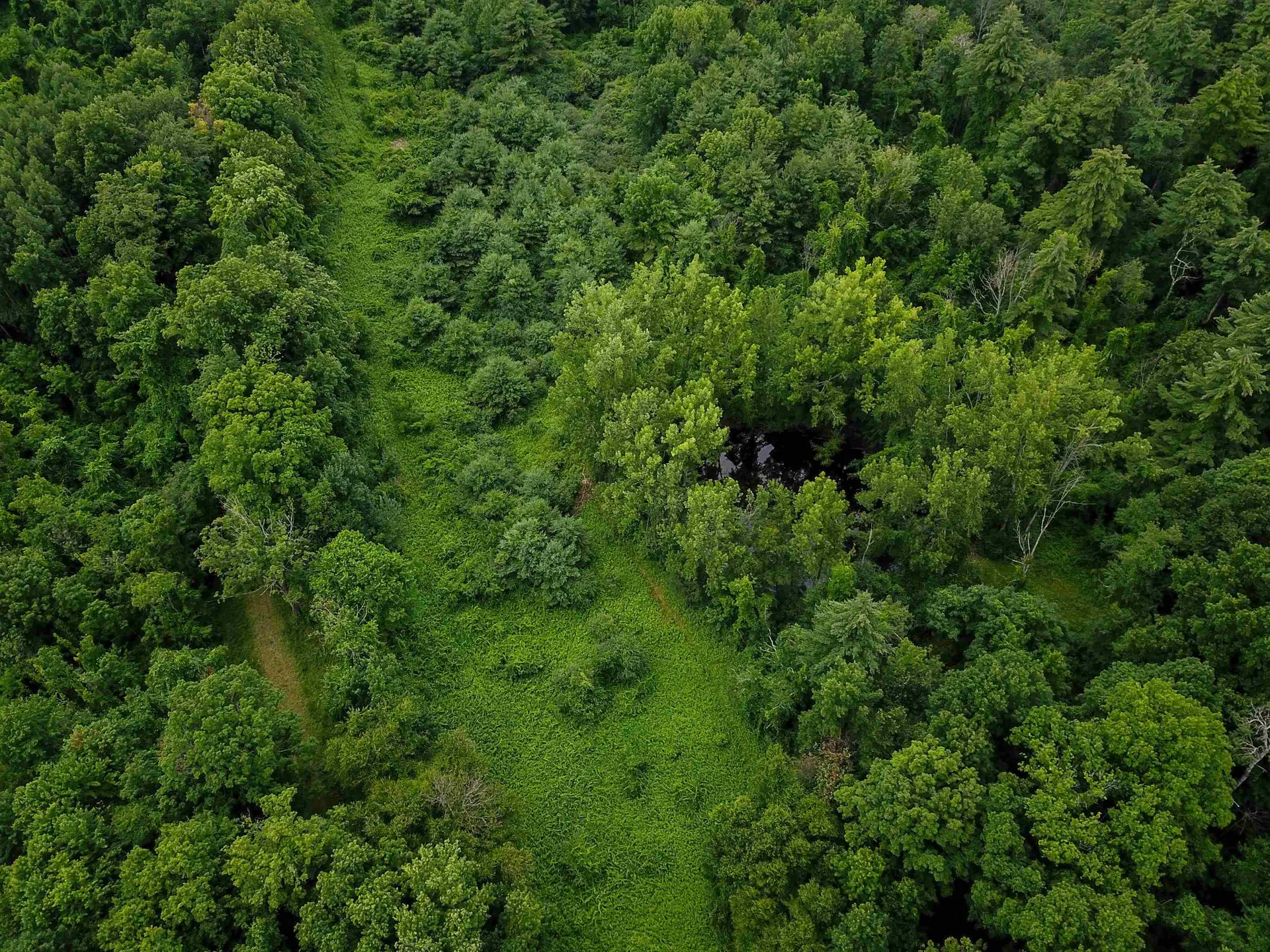 399 Bard Road Bennington VT 05201