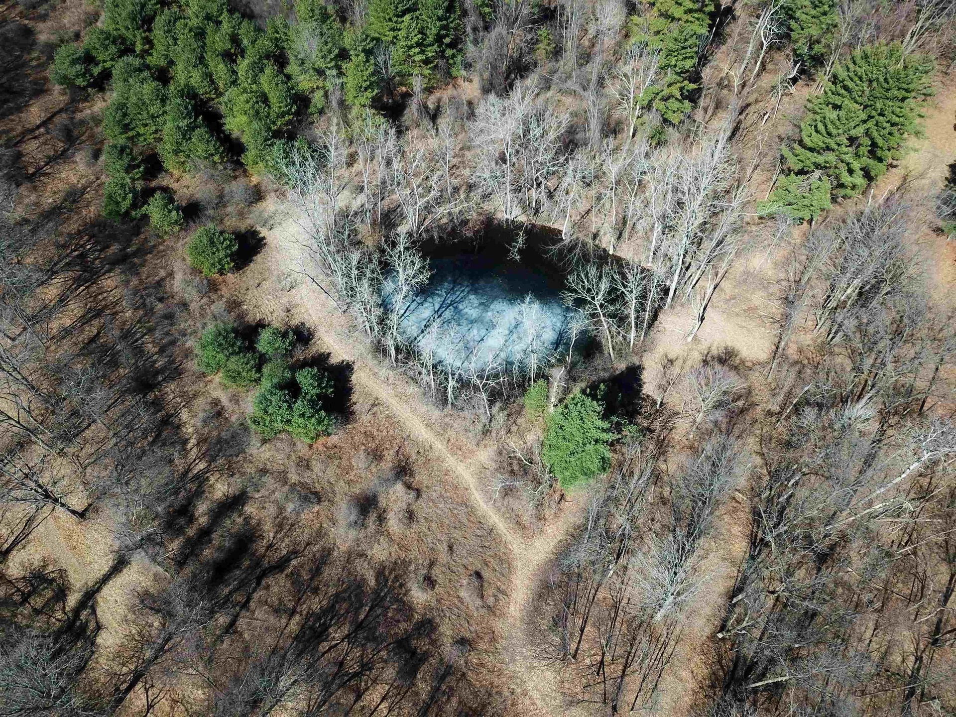 399 Bard Road Bennington VT 05201