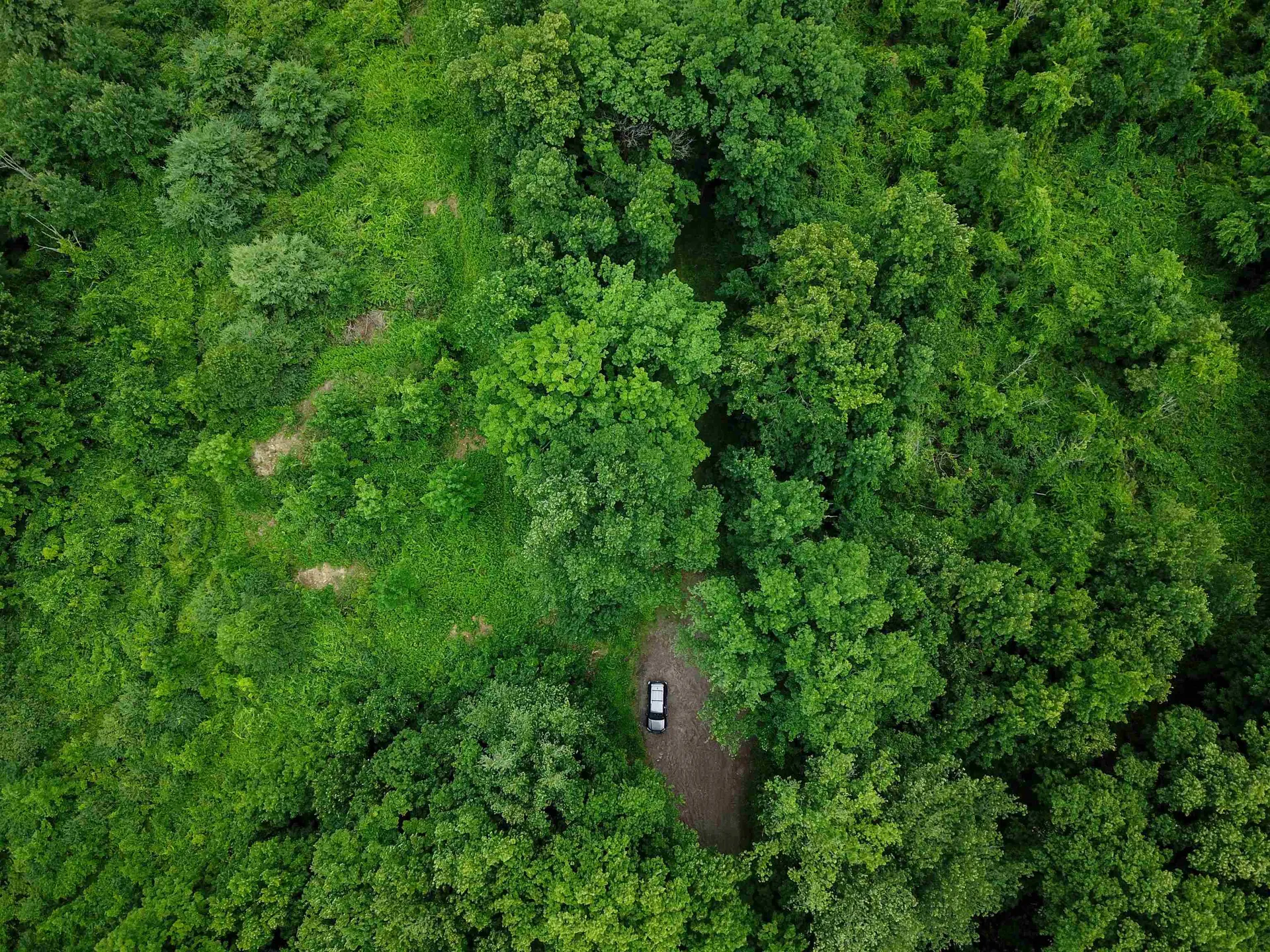 399 Bard Road Bennington VT 05201