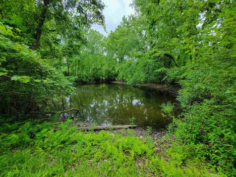 399 Bard Road Bennington VT 05201
