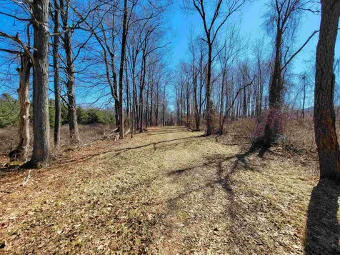 399 Bard Road Bennington VT 05201