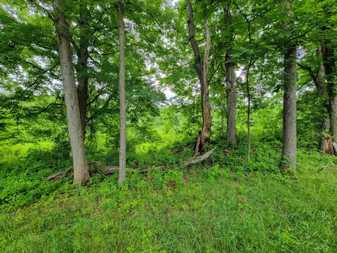 399 Bard Road Bennington VT 05201