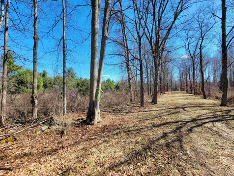 399 Bard Road Bennington VT 05201