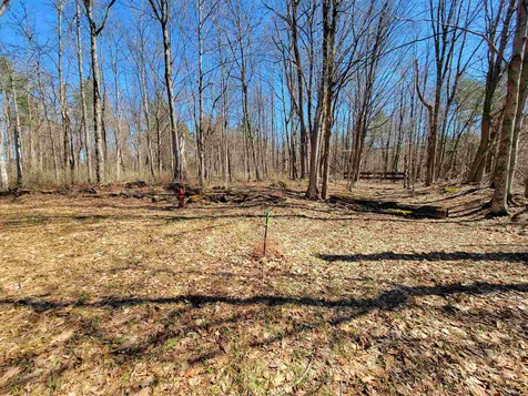 399 Bard Road Bennington VT 05201