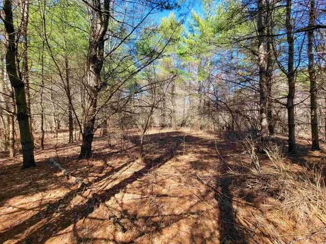 399 Bard Road Bennington VT 05201