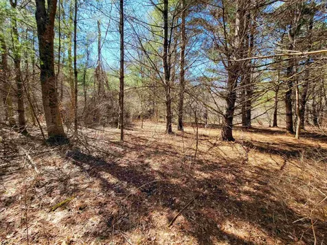399 Bard Road Bennington VT 05201