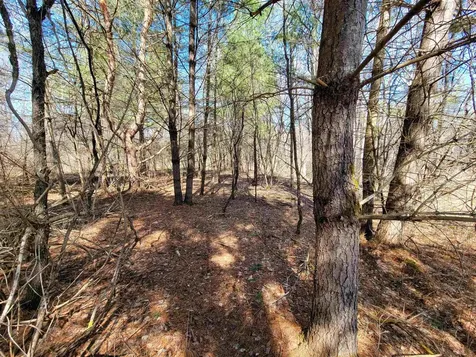 399 Bard Road Bennington VT 05201