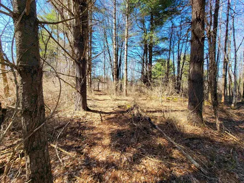 399 Bard Road Bennington VT 05201