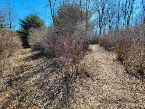 399 Bard Road Bennington VT 05201