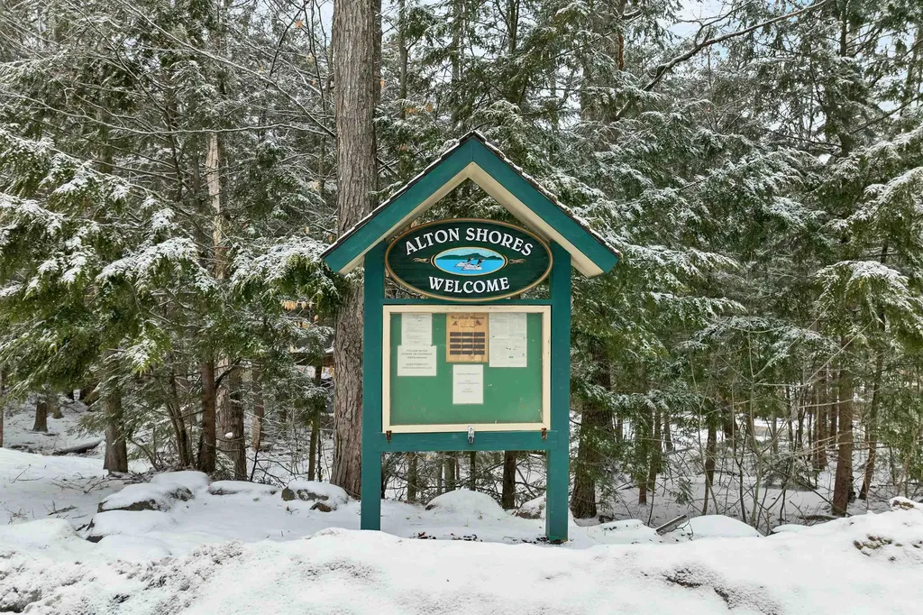 Lot 60 Scott Drive Alton NH 03810