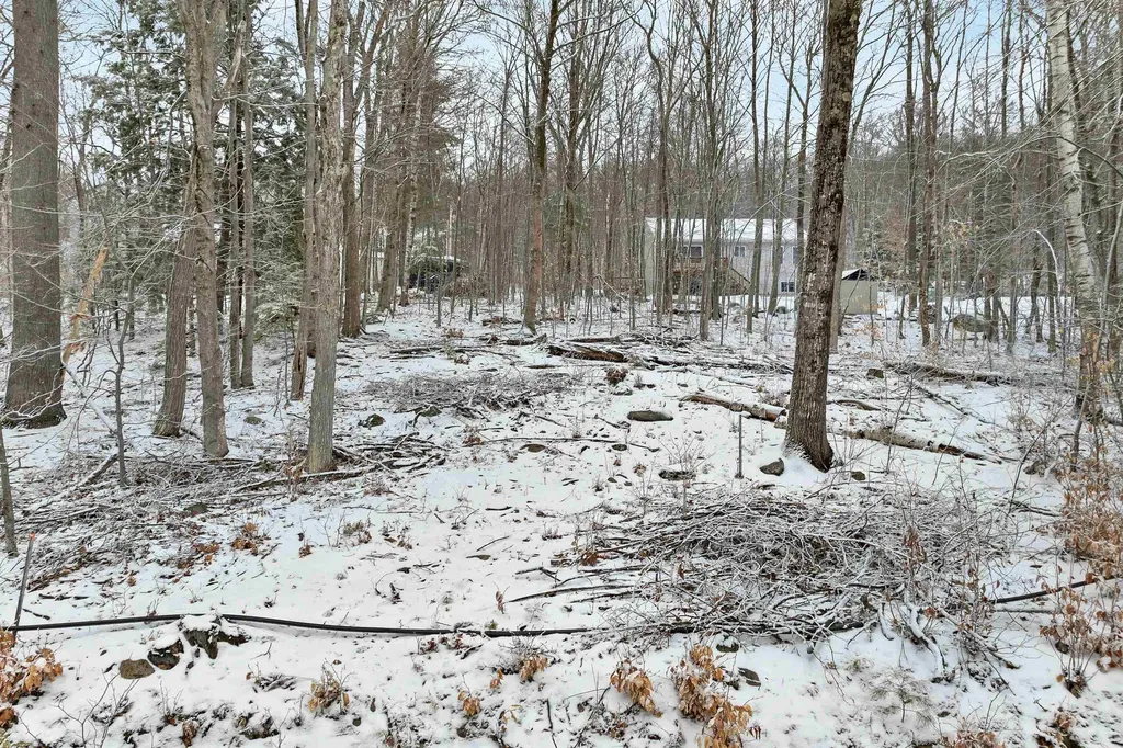 Lot 60 Scott Drive Alton NH 03810