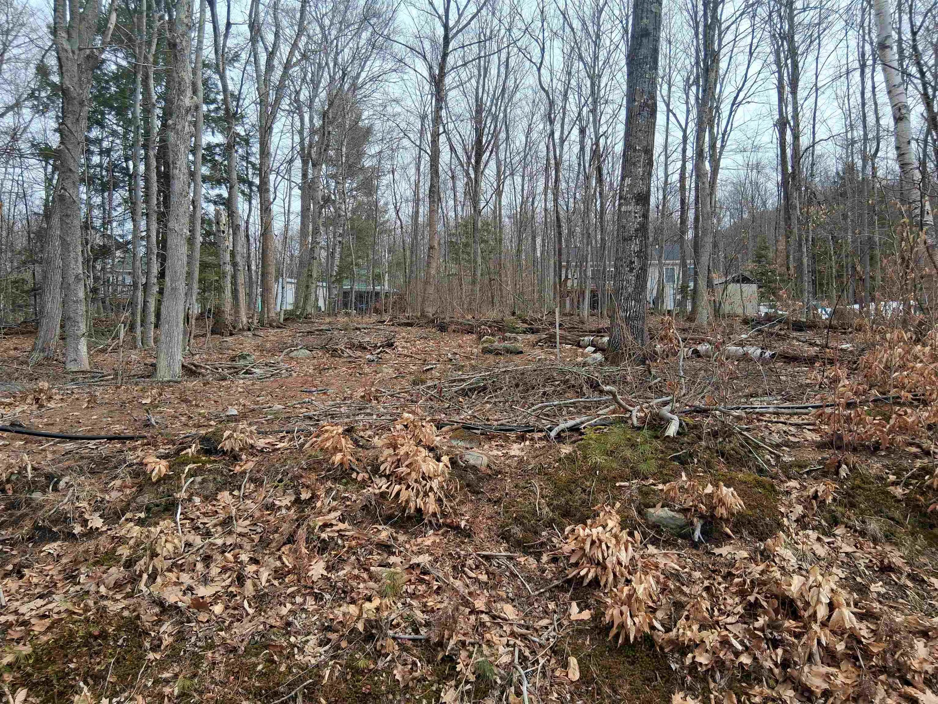 Lot 60 Scott Drive Alton NH 03810