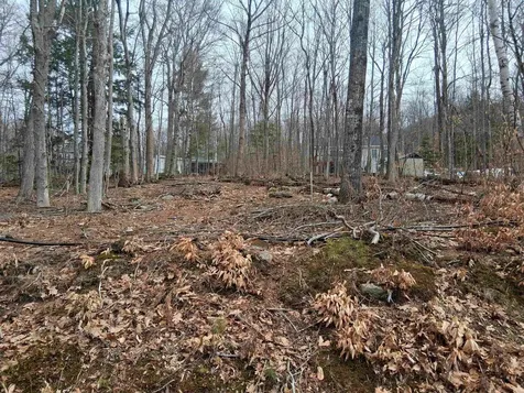 Lot 60 Scott Drive Alton NH 03810