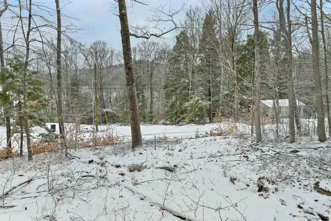 Lot 60 Scott Drive Alton NH 03810