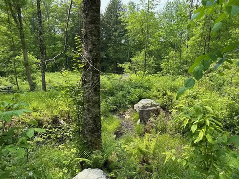 320 W Rowe Hill Road West Windsor VT 05037