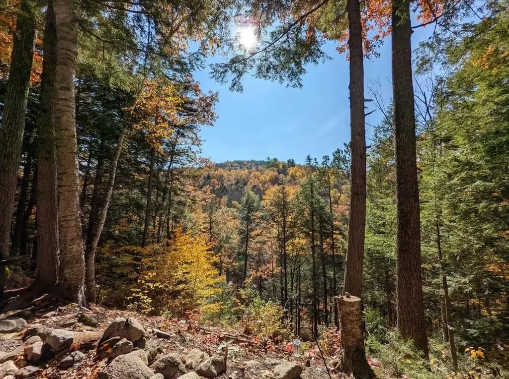 108 Tyler Way Bath NH 03740