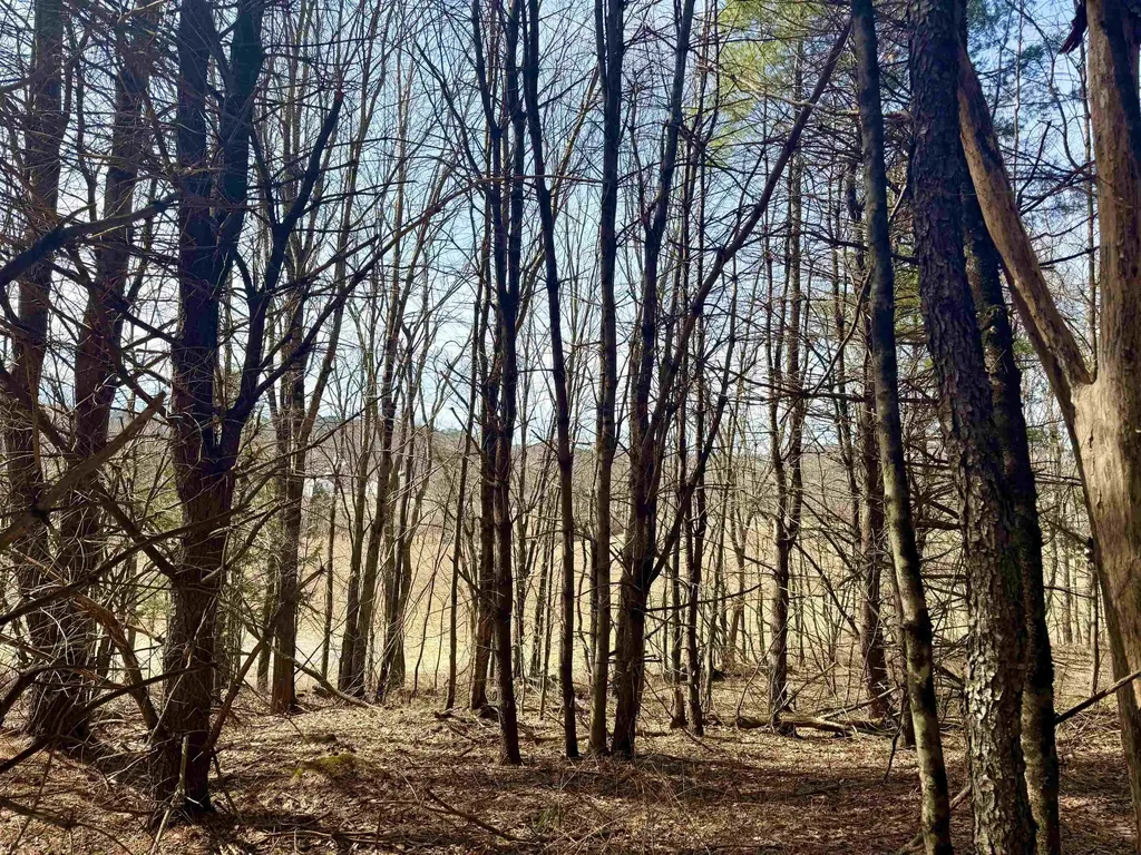 0 Green Mountain Turnpike Chester VT 05143