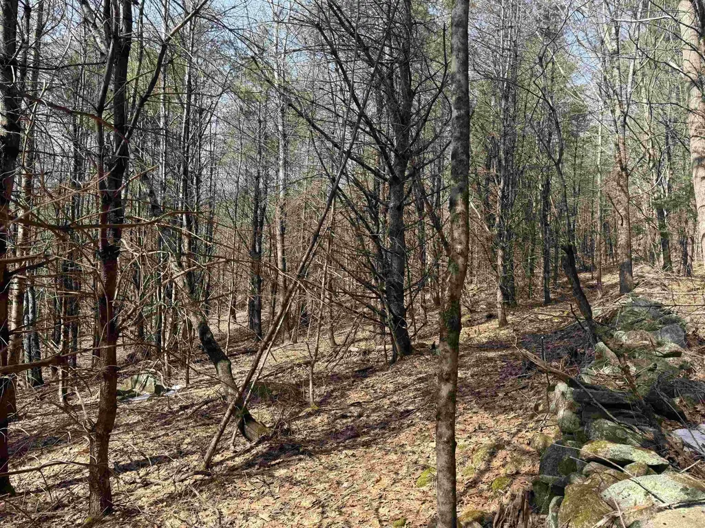 0 Green Mountain Turnpike Chester VT 05143