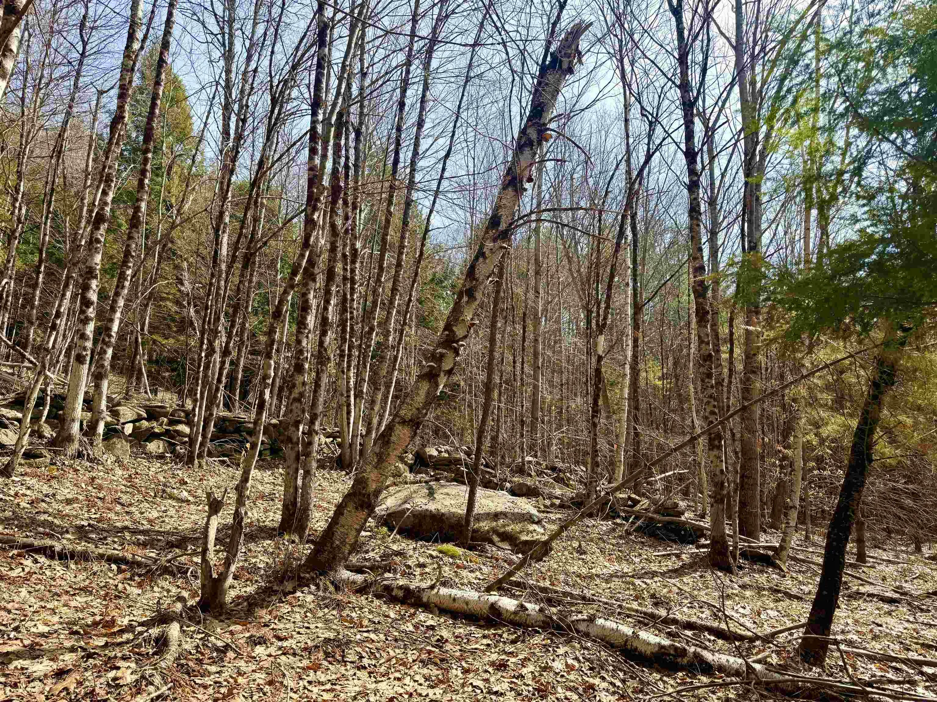 0 Green Mountain Turnpike Chester VT 05143