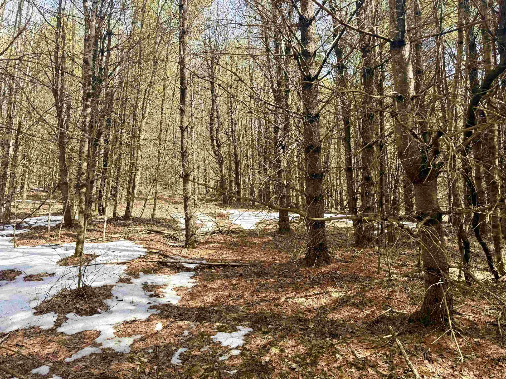 0 Green Mountain Turnpike Chester VT 05143