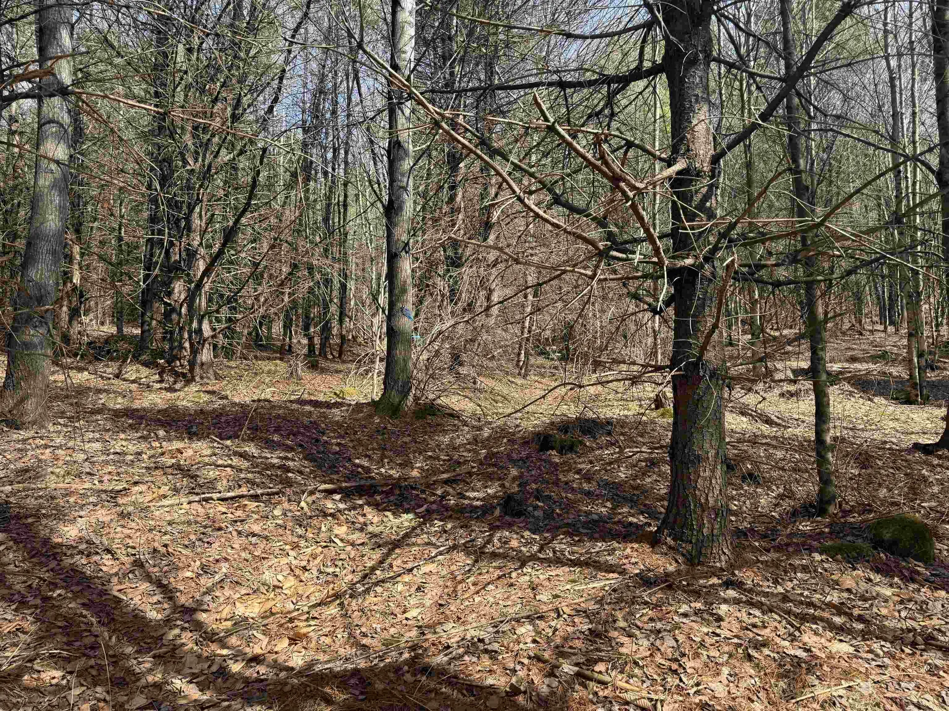 0 Green Mountain Turnpike Chester VT 05143