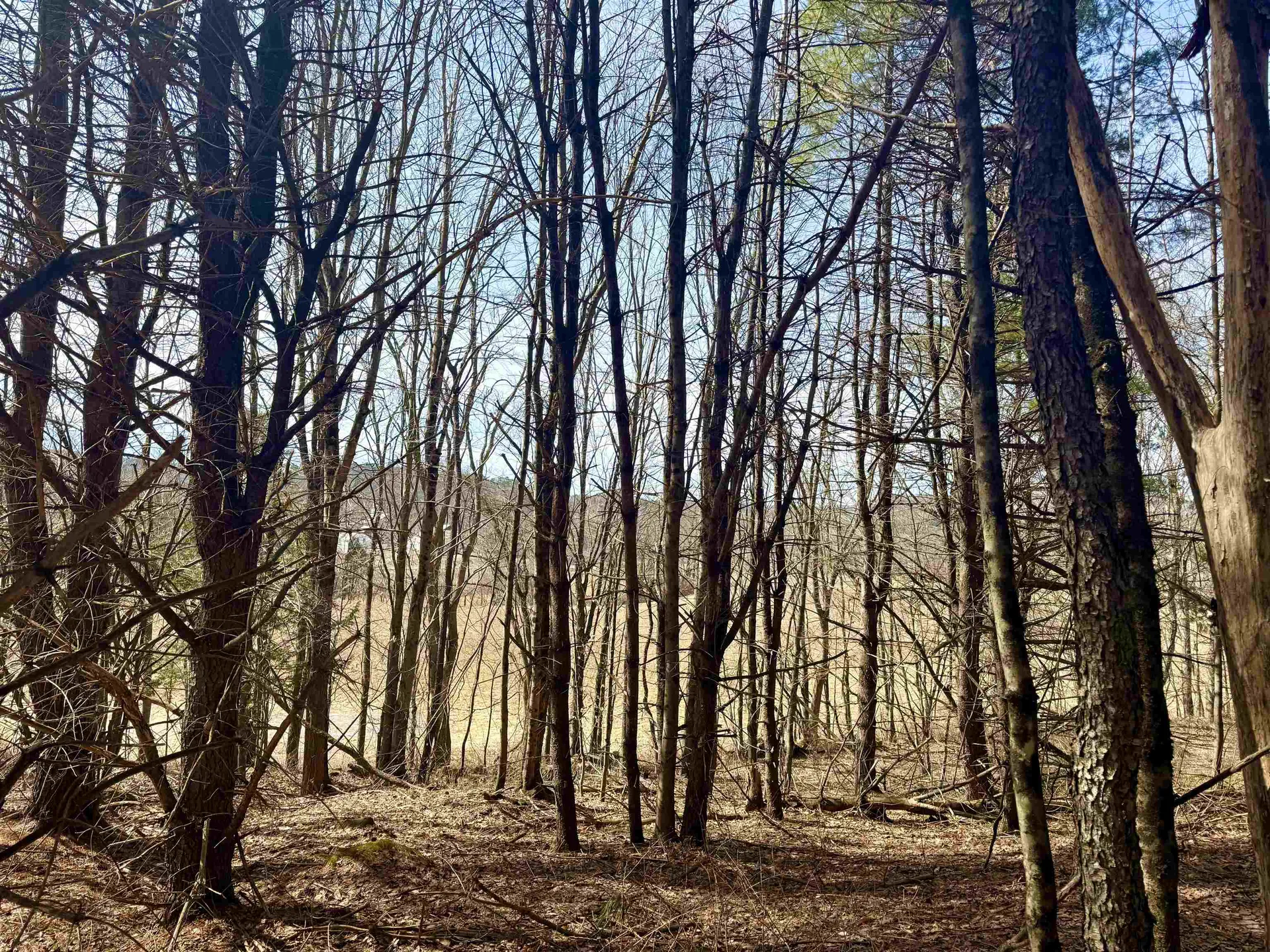 0 Green Mountain Turnpike Chester VT 05143