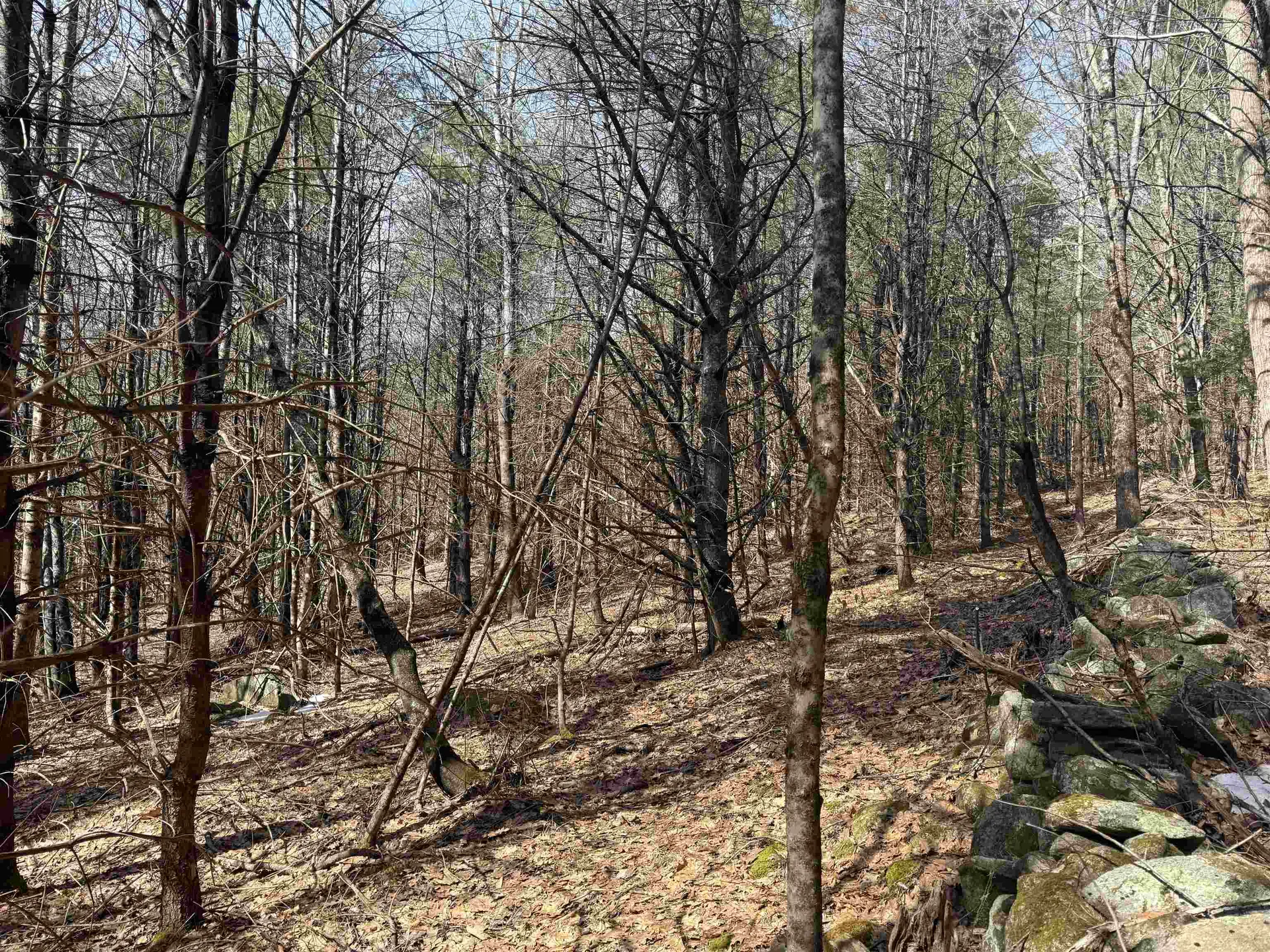 0 Green Mountain Turnpike Chester VT 05143