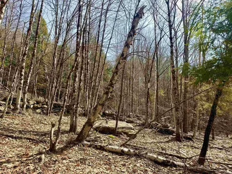 0 Green Mountain Turnpike Chester VT 05143