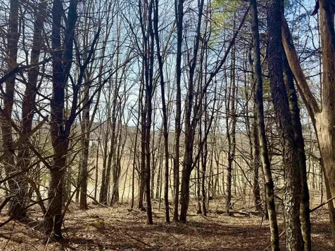 0 Green Mountain Turnpike Chester VT 05143