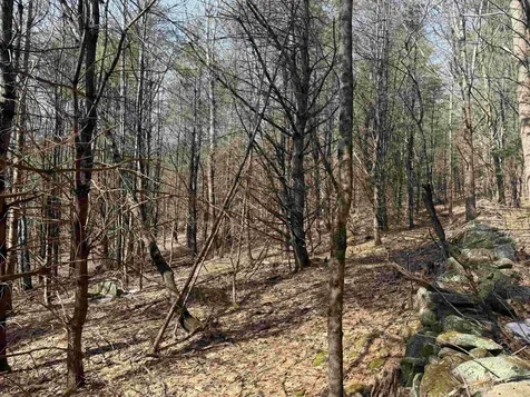 0 Green Mountain Turnpike Chester VT 05143