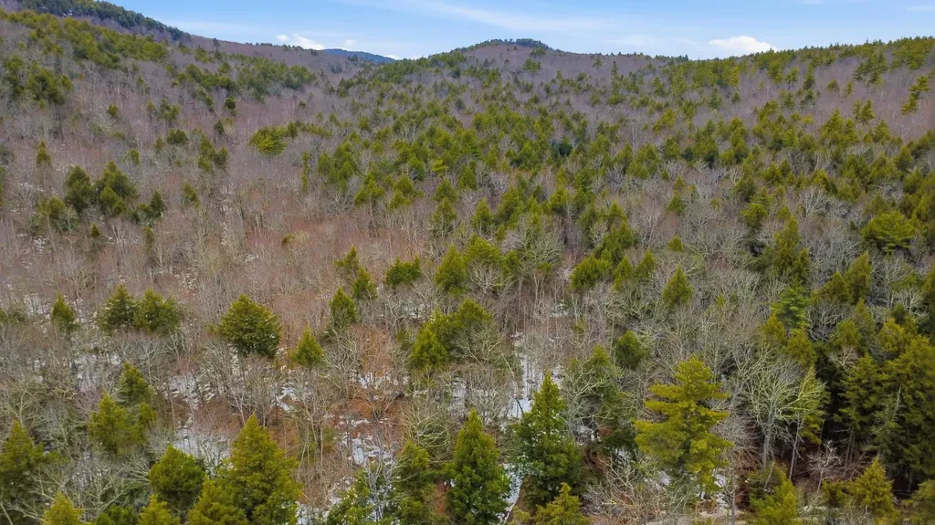 101-15-1 North Shore Road New Durham NH 03855