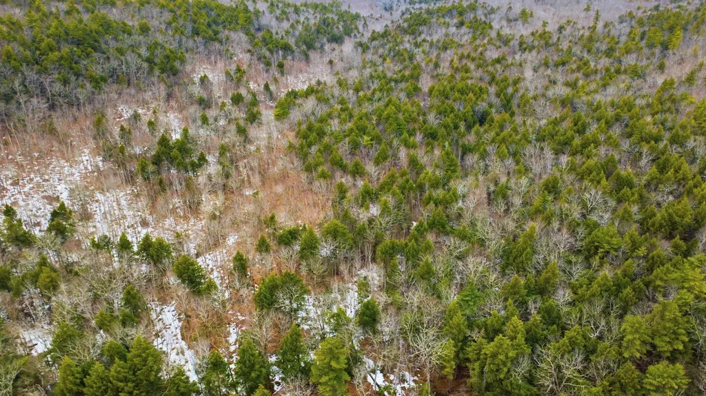 101-15-1 North Shore Road New Durham NH 03855