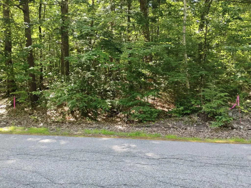 101-15-1 North Shore Road New Durham NH 03855