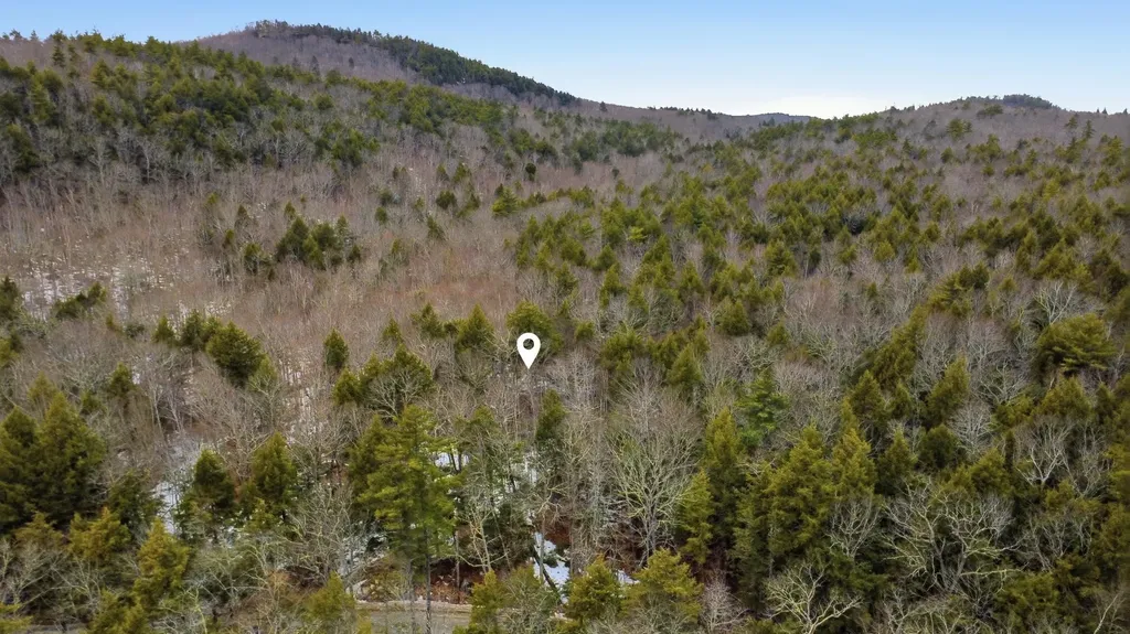 101-15-1 North Shore Road New Durham NH 03855