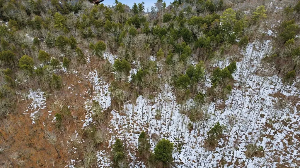 101-15-1 North Shore Road New Durham NH 03855