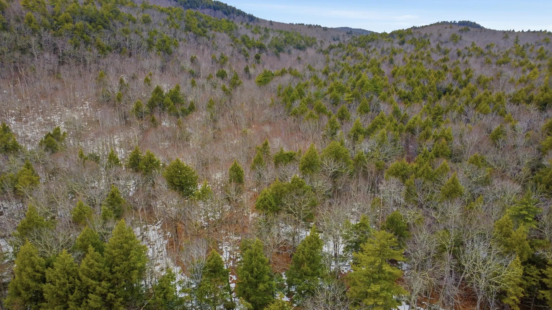 101-15-1 North Shore Road New Durham NH 03855