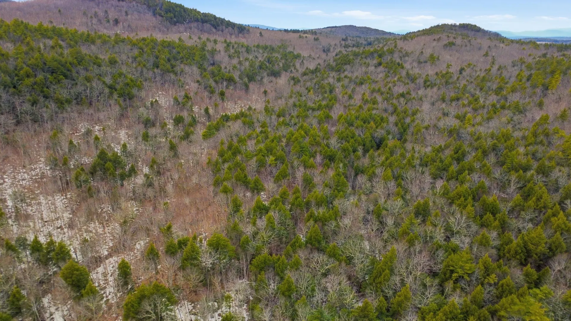 101-15-1 North Shore Road New Durham NH 03855